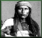 cochise